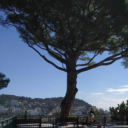 2 Pieces Port De Vue Mer * Nice